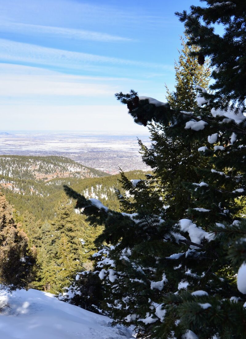 Brothers in Boulder